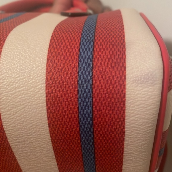 The Mini Rowan Crossbody With Stripe Print - Picture 4 of 7